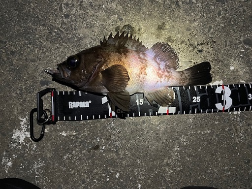 はじめまして！